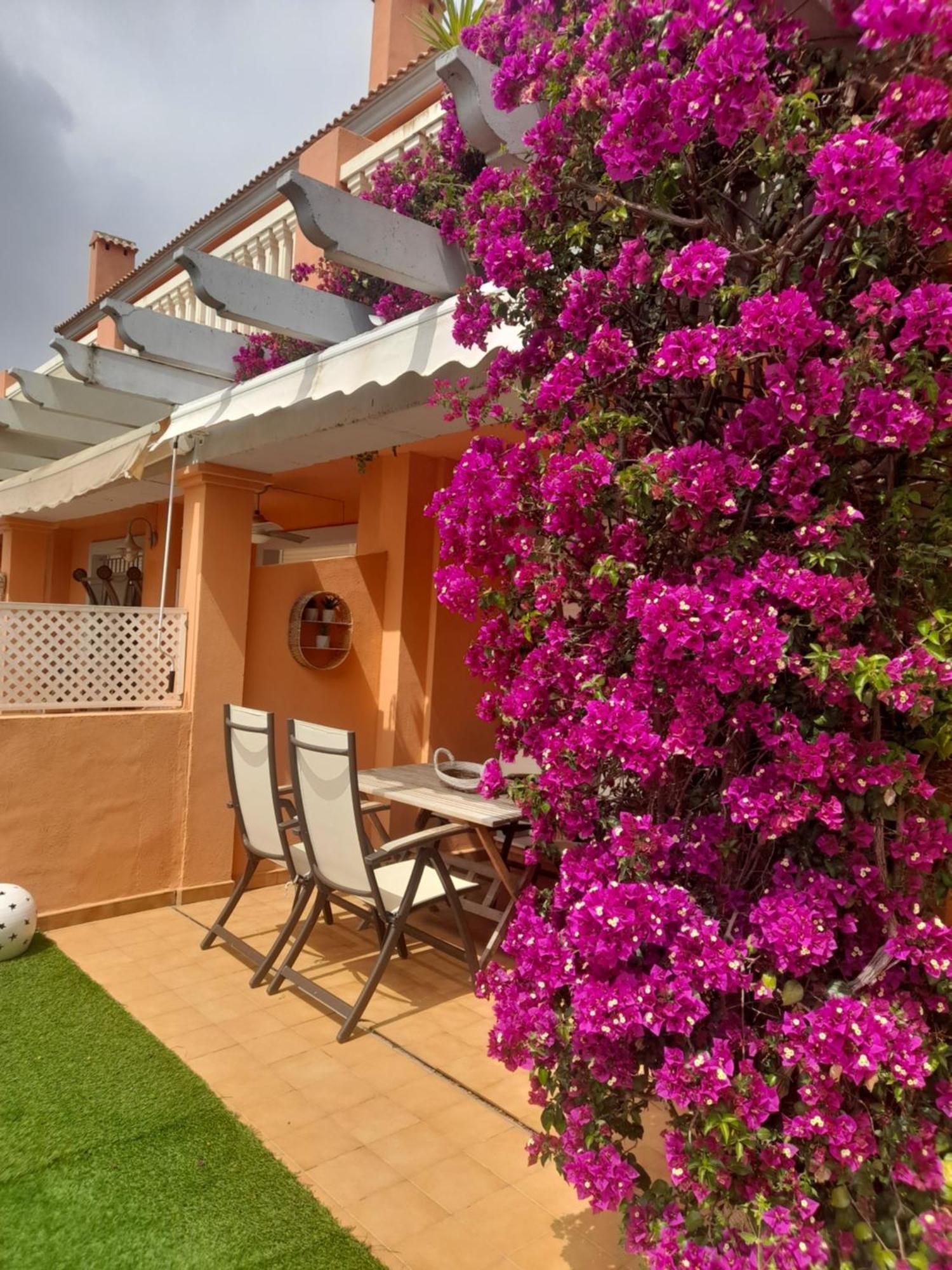 Apartamento Premium En Planta Baja Junto Al Parador Y Playa Del Arenal Jávea エクステリア 写真